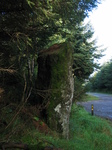 24087 Standing stone.jpg